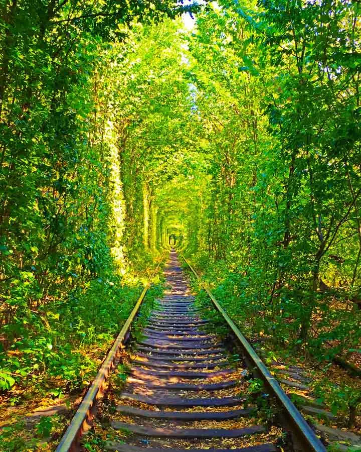 Ukraine TUNNEL in forest cheap travel country
