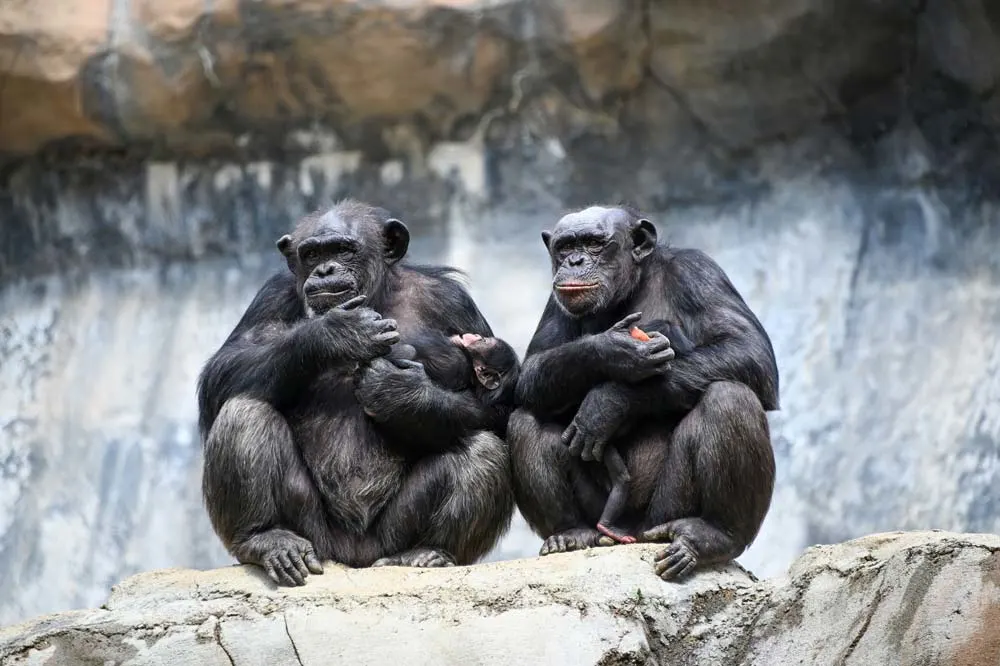 Los Angeles Zoo & Botanical Gardens