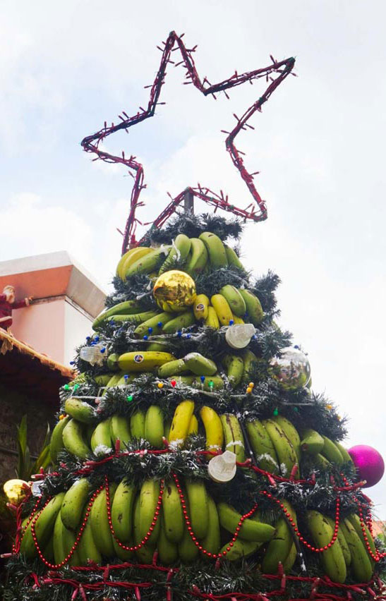 Madeira Christmas tree made of fruit