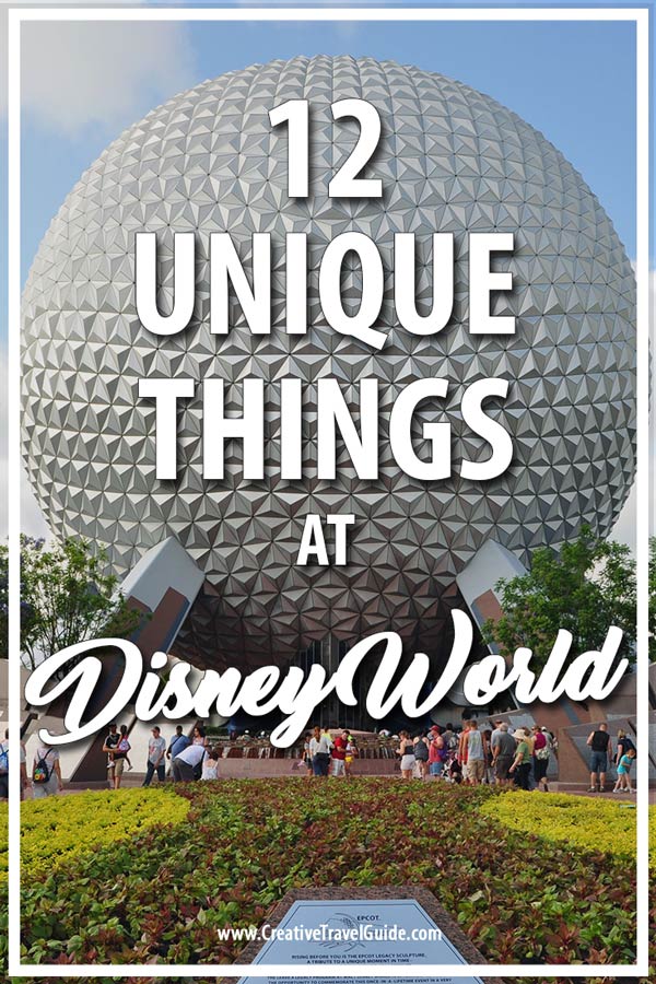 Unique things to do in Disney world