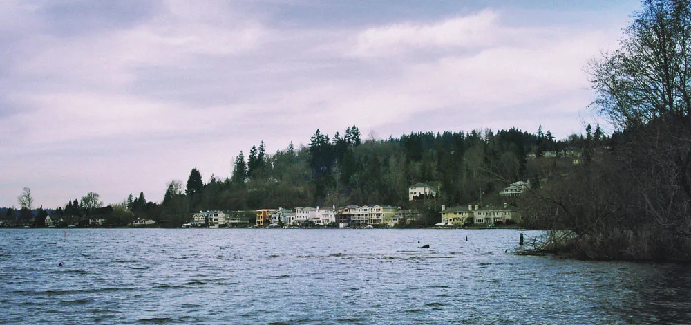A lake in Bellevue