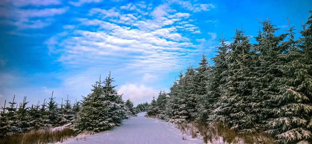 Ireland in Winter