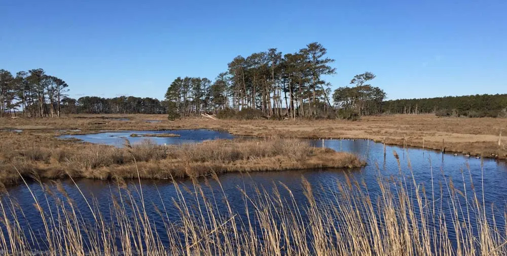 Chincoteague Island Virginia Romantic places in the usa