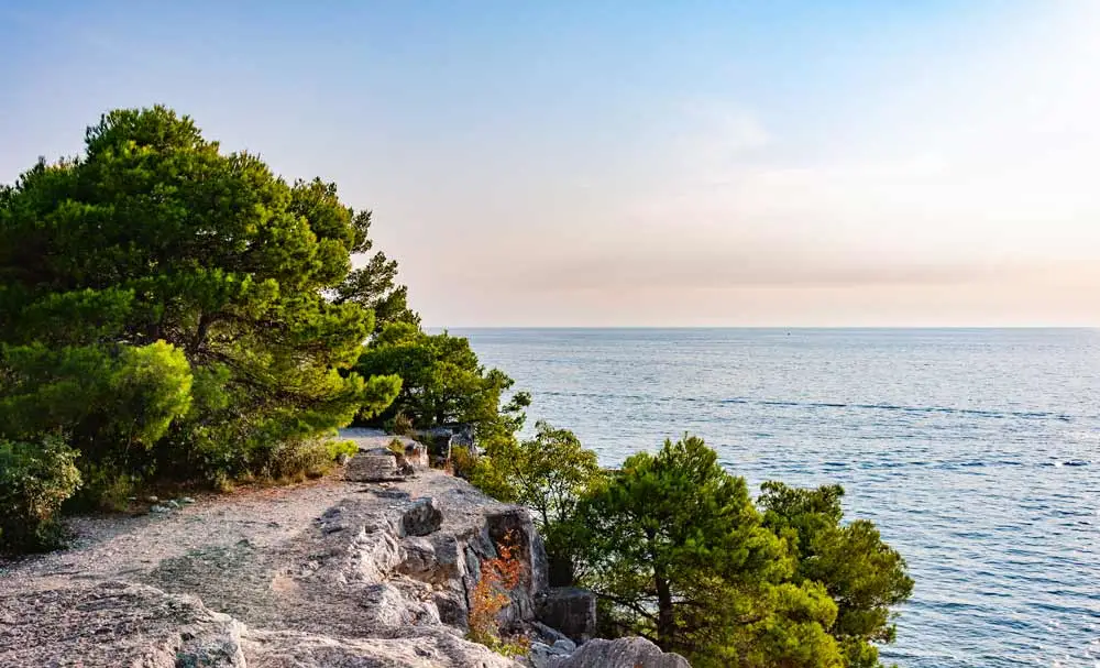 Golden Cape Forest Park