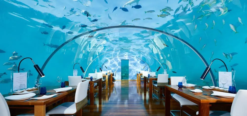 Conrad Maldives, restaurant under the sea Most unique hotels in the world