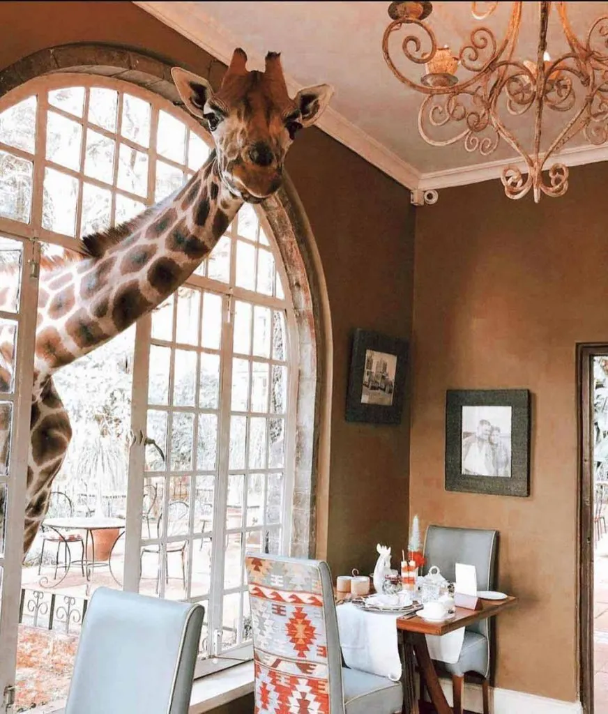 Giraffe Manor, Kenya unique luxury hotels