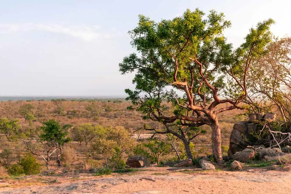 Mweru Wantipa National Park