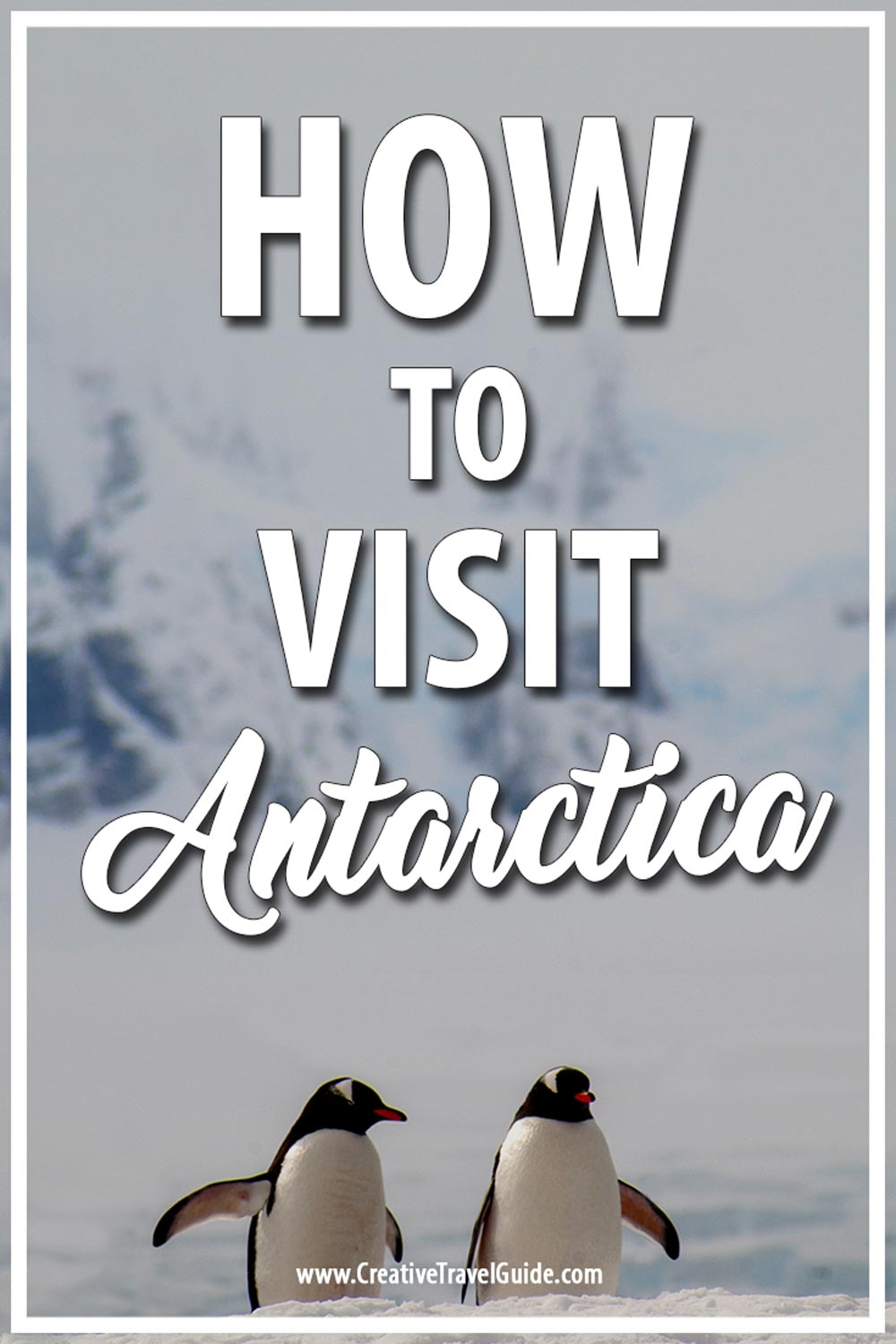 How to visit Antarctica