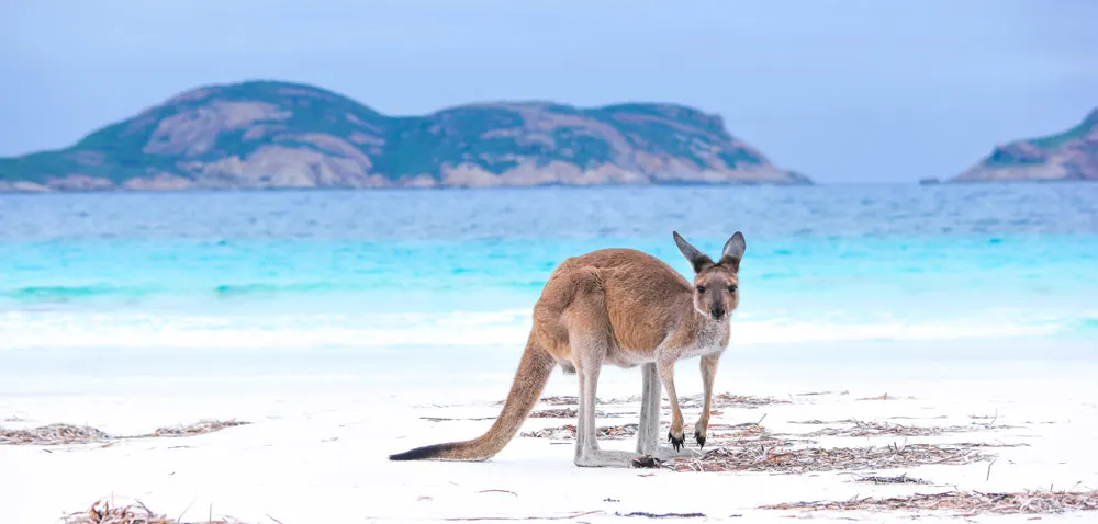 What to do in Australia