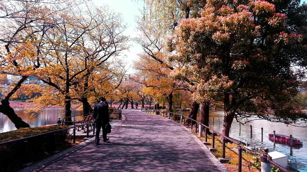 Parks in tokyo, free things to do in Tokyo, Japan