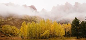 Unique Things to Do in Colorado