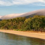 Best things to do in Palm Cove