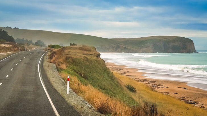 How To Road Trip In New Zealand