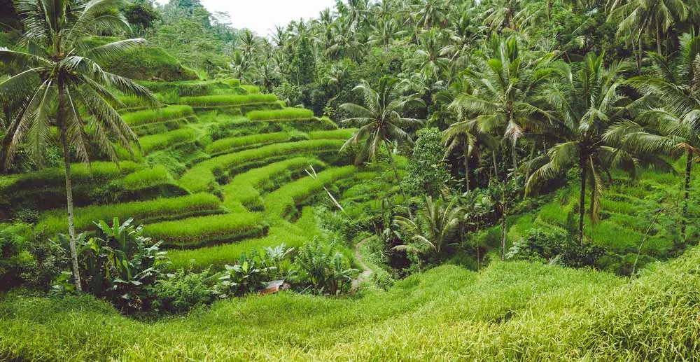 7 days in Bali Itinerary