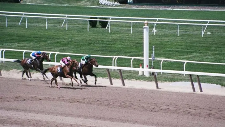 Tips for going to Belmont Stakes