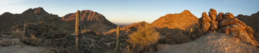 Sonoran Desert, one of the best things to do in Chandler, Arizona