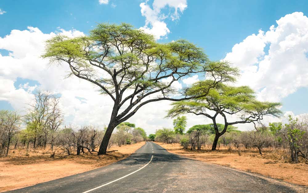 Zimbabwe Landscape