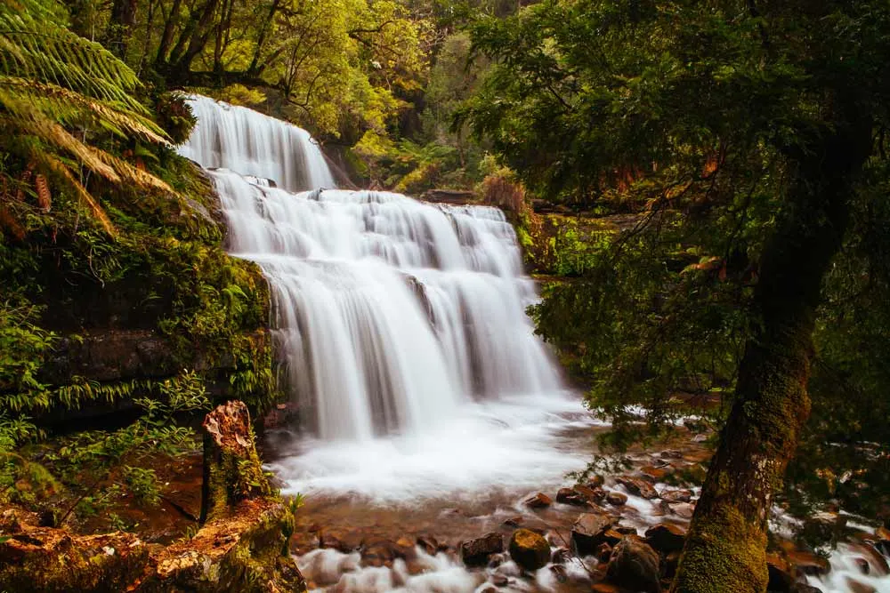 Liffey Falls in Tasmania
