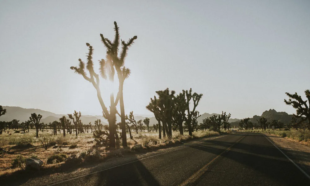 Driving through the California Desert