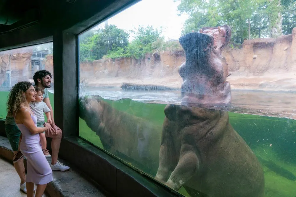 San Antonio Zoo is on your San Antonio Bucketlist