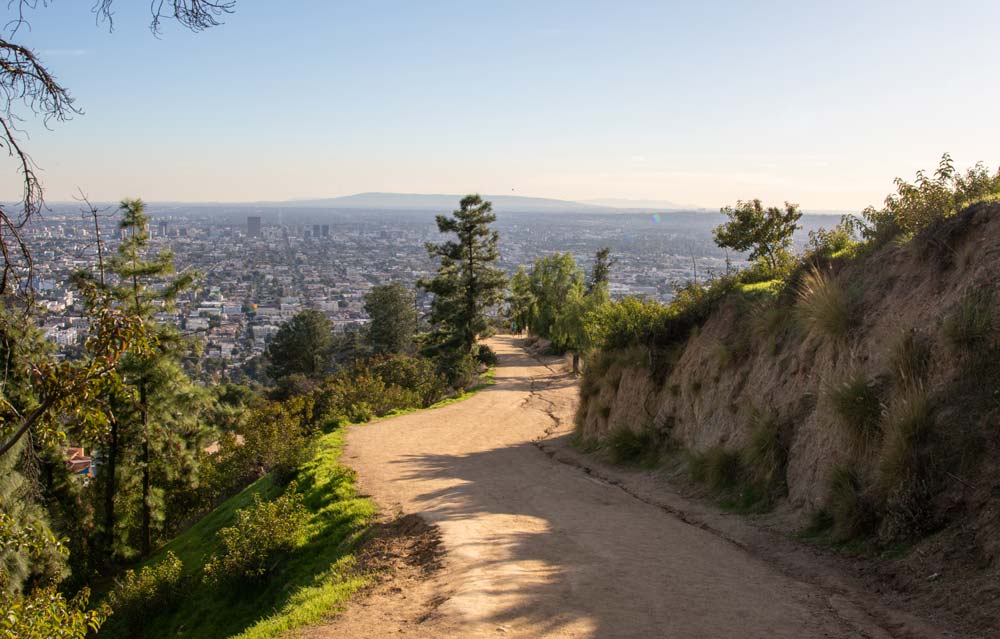 Griffith Park in Los Angeles