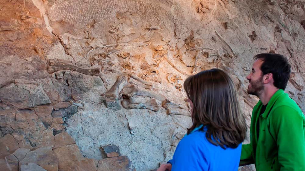 Dinosaur National Monument is one of the best things to do in Vernal Utah