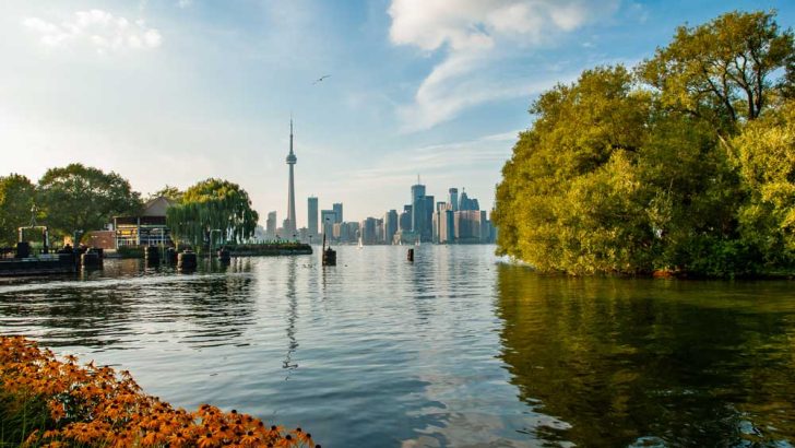 13 Most Romantic Things to Do in Toronto (2025)