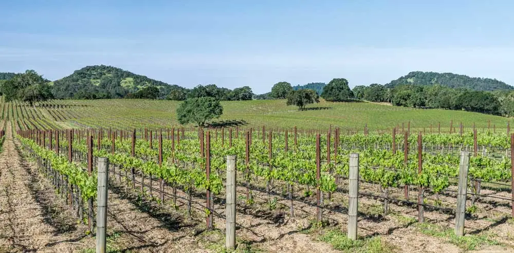 Sonoma County, California