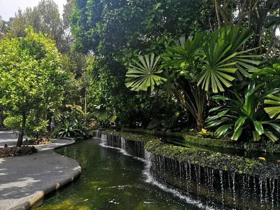 Singapore Botanic Gardens