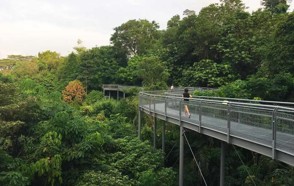 Southern Ridges