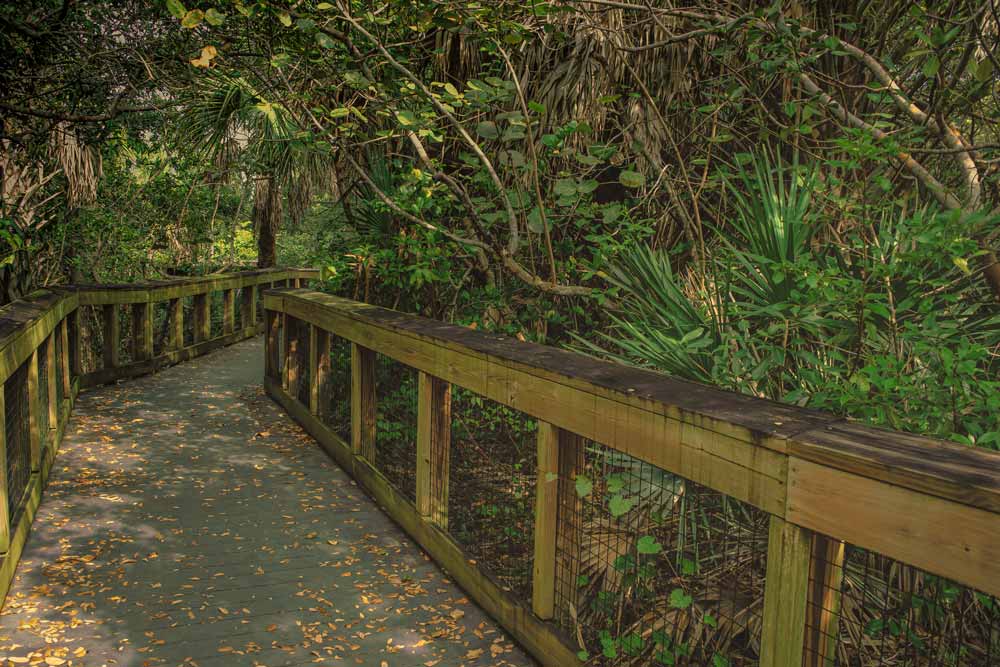 Gumbo Limbo Nature Center